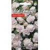 Kurzemes Seklas Sėklos. Vienmetės Kuržemės sėklos, 0,1 g.