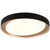 Lubinis šviestuvas Trio ZETA LED CEILING LAMP Juodas/GOLD