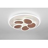 Šviestuvas lubinis Trio Mandala, LED, 2700 - 6500 °K, 1 x 35 W