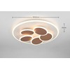 Šviestuvas lubinis Trio Mandala, LED, 2700 - 6500 °K, 1 x 35 W