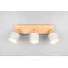 Šviestuvas lubinis Trio Shanti 862700376, E14, 3 x 10 W