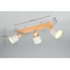 Šviestuvas lubinis Trio Shanti 862700376, E14, 3 x 10 W