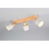Šviestuvas lubinis Trio Shanti 862700376, E14, 3 x 10 W