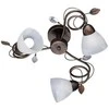 Trio Lubinis šviestuvas F04B9 TRADITIO, E14, 3 x 40 W