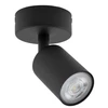 Lubinis šviestuvas Šviestuvas lubų ir sienų TK Lighting Top 5739, GU10, 1 x 10 W