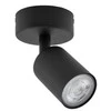 Šviestuvas lubų ir sienų TK Lighting Top 5739, GU10, 1 x 10 W