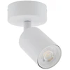 Šviestuvas lubų ir sienų TK Lighting Top, GU10, 1 x 10 W