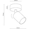 Lubinis šviestuvas Tk_Lighting Šviestuvas sieninis TK Lighting Top 5739, 10 W, GU10
