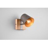 Šviestuvas lubinis / sieninis Trio Bell 801900167, E14, 1 x 25 W