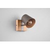Šviestuvas lubinis / sieninis Trio Bell 801900167, E14, 1 x 25 W