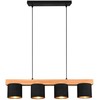 Pakabinamas šviestuvas Trio Cameron R30654002, E14, 4 x 28 W