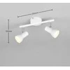 Taškinis šviestuvas REALITY CANTAR, 2 x GU10, max 2 x 5 W, baltos/chromo sp, 25x8x12,5cm