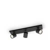 Lubinis šviestuvas Luminaire Philips RUNNER. directing. 3x20 W