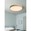 Lubinis šviestuvas Lampa sufitowa Domoletti CEILING LED LIGHT NATA 4000K 50.5CM WOOD