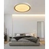 Lubinis šviestuvas Domoletti Lampa sufitowa LED B2361-1M-R 39CM 30W su funkcija ściemniania