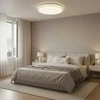 Domoletti Lubinis šviestuvas LEDB2349-1-R 50CM 45W DIM
