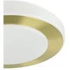 Lubinis šviestuvas Šviestuvas plafonas Eglo CARPI, 10.8 W, LED, 900369