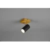 Trio C2E53 Marley šviestuvas, lubinis ir sieninis, 15 W, GU10