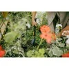 Kastuvas Fiskars OneClick 1080693. 273mm. be koto