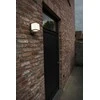 Lauko sieninis šviestuvas Lutec Doblo, 11 W, LED, IP54, tamsiai pilkas, 11 cm x 14,6 cm