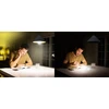 Lemputė Osram LED, A60, 2700 °K, E27, 8 W, 806 lm