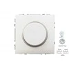 Liregus 5-200W LED šviesos ryškumo reguliatorius MODERN, be rėmelio, šampano sp.
