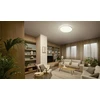 Šviestuvas lubų Philips Valen, LED, 2200 - 6500 °K, 1 x 32 W