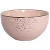 Domoletti 13.8CM 636ML BOWL WITH SPECKLE Rožinis