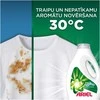 Skalbimo gelis Ariel Mountain Spring, 4.5 l