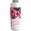 Baltic Agro BALTICAGRO Koncentruotos skystos pelargonijų trąšos, 1 L