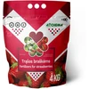 Agrochema Trąšos braškėms ir žemuogėms, 4kg