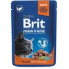Brit Premium lašiša for Sterilised 100 g