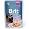 Brit Premium lašiša for Sterilised 100 g