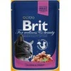 Brit Premium lašiša&amp;upėtakis 100 g