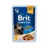 ĖDALAS KATĖMS BRIT tunas GRAVY 85 G
