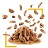 Royal Canin FHN Sensory Taste gravy kačių konservuotas pašaras, 85 g, maišelyje