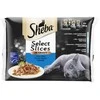Konservuotas kačių ėdalas SHEBA, su žuvimi, 4 x 85 g