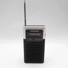Kišeninis FM/AM radijas Blaupunkt Pockets PR4BK