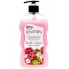 Naturaphy Skystas muilas 650ml Vyšnių ir Alavijų