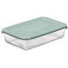 NHG Maisto laikymo indas Polar Box 460ml Žalias