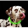 None „Anicoll“ LED Collar šunims ir katėms, žalias