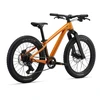 None Vaikiškas dviratis GIANT STP 20, metalo oranžinis