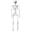 ROSA Nežinomas DEKORACIJA SKELETAS H90CM