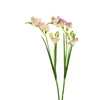 None Nežinomas Dirbtinė gėlė, frezija, rausva sp./violetinė sp., 59 cm