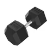 None Hanteliai TUNTURI Platinum Hex Rubber Dumbbell, 1-50kg (Svoris: 1 x 40 kg)