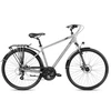 Dviratis Romet Wagant 2 2025 pilkas-graphite-23" / XL (Dydis: 23" / XL)