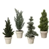 None Nežinomas Kalėdinė dekoracija Decoris Tree in pot, žalia, 30 cm