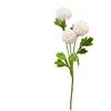 None Nežinomas ŠAKA DIRBTINĖ PL4100640 75CM 4 DIZAINAI