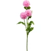 None Nežinomas ŠAKA DIRBTINĖ PL4100640 75CM 4 DIZAINAI