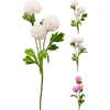 None Nežinomas ŠAKA DIRBTINĖ PL4100640 75CM 4 DIZAINAI